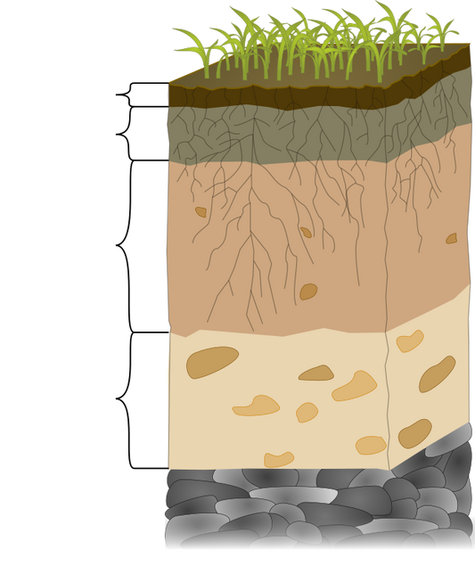 Original: Wilson Biggs Vector: Essens Strassen, <a href=«https://creativecommons.org/licenses/by-sa/2.0 »>CC BY-SA 2.0</a>, via Wikimedia Commons  Graphic of a soil profile showing soil horizons. The labels were removed from this version. The depth numbers are approximately.  O ( 0" - 2" ): Organic A ( 2" - 10" ): Surface B ( 10" - 30" ): Subsoil C ( 30" - 48" ): Substratum  R: Parent material, e.g. bedrock (bottom layer)