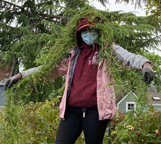 Photo by Dina Russell, 2021. Copyright PlantShare LLC 2021-present.  All Rights Reserved.  A woman wearing a red baseball hat has a 15 foot long weed draped over her head, down her arms and to the ground