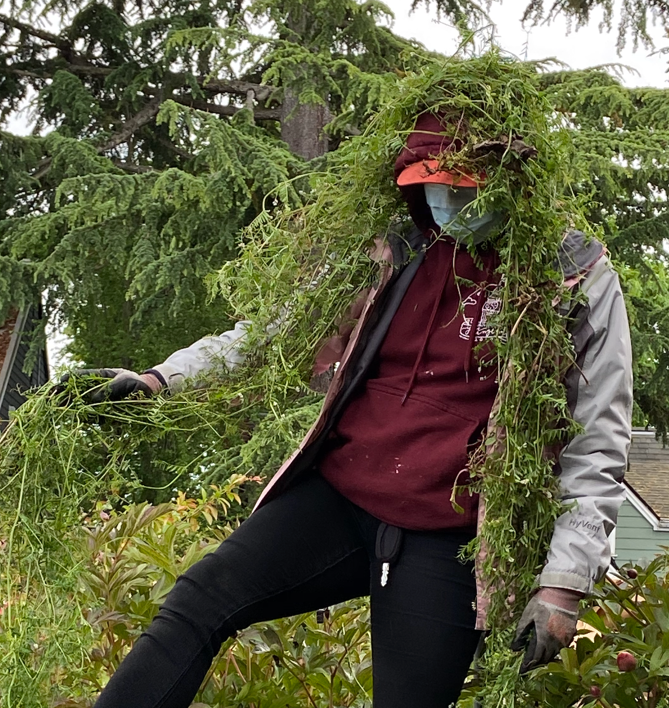 Photo by Dina Russell, 2021. Copyright PlantShare LLC 2021-present.  All Rights Reserved.  A woman wearing a 15 foot long weed over her head and shoulders like a shawl, kicks the end of the weed with her right foot as if she is dancing