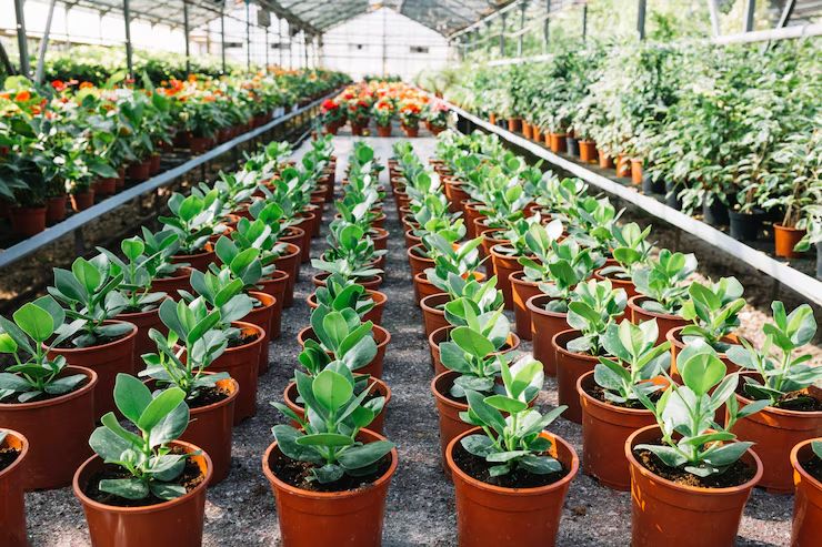 Ergonomic Gardening. Part 1